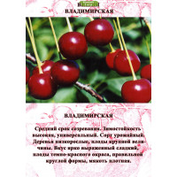 Комплект 5шт  / Вишня Владимирская